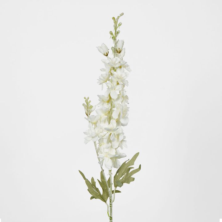 Delphinium 85cm White