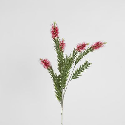 Bottlebrush Spray 100cm