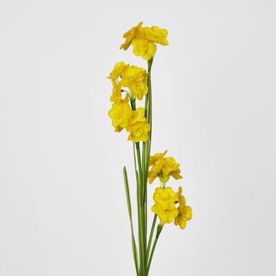 Daffodil Spray