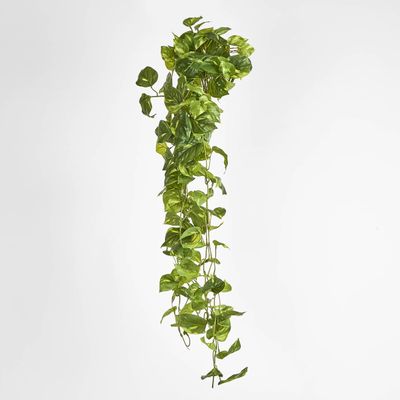 Real Touch Pothos hanging Bush x 12