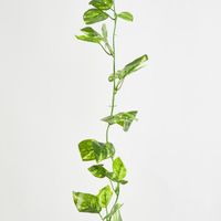 Pothos Leaf Garland Green