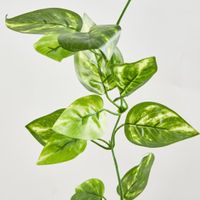 Pothos Leaf Garland Green