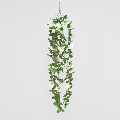 Hanging Roses