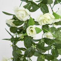Hanging Rose Vine White