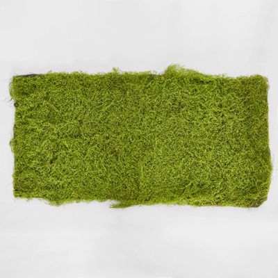 Moss Mat