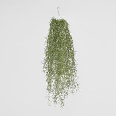 Spanish Moss Dark Green