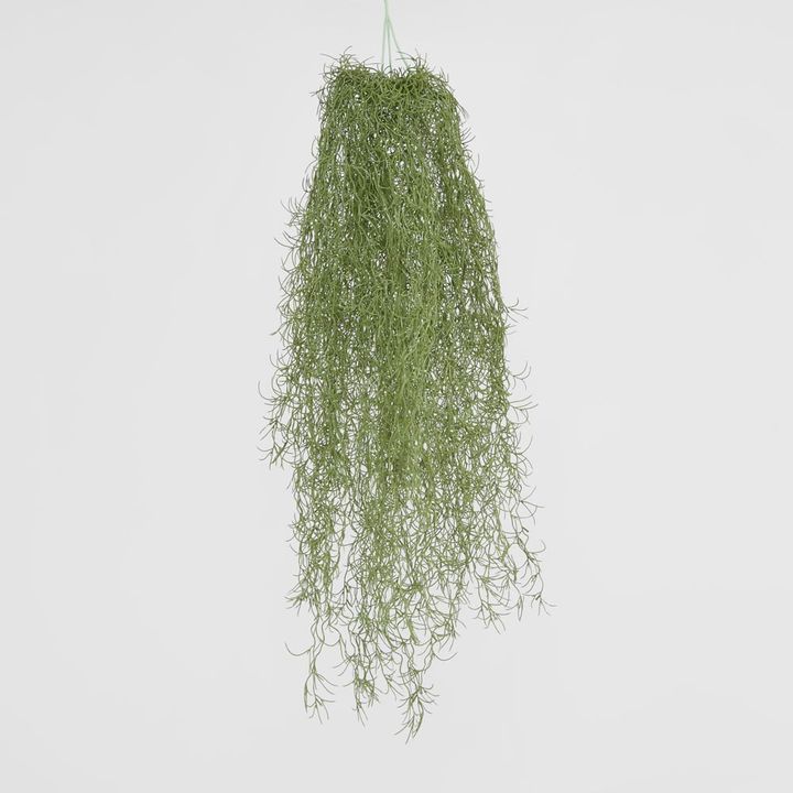 Hanging Spanish Moss Dark Green