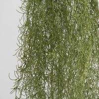 Hanging Spanish Moss Dark Green