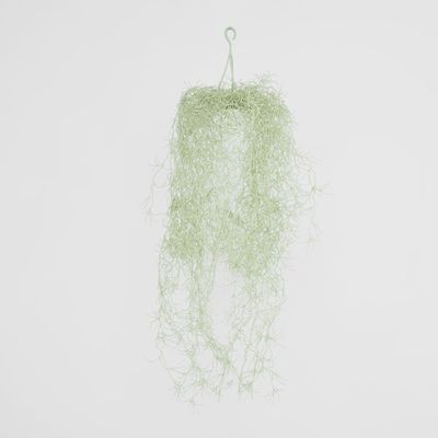 Spanish Moss Grey Green
