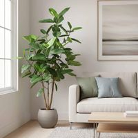 FICUS AUDREY TREE 91CM