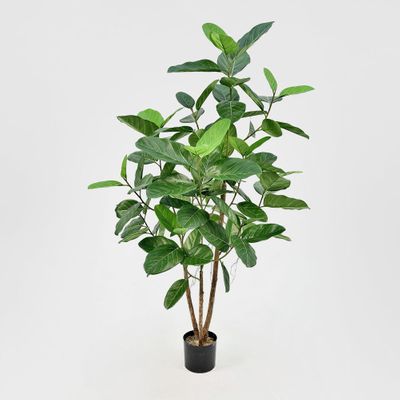 FICUS AUDREY TREE 91CM