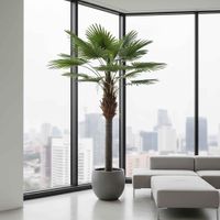 Majesty Palm With 960 Leaves Green 240cm