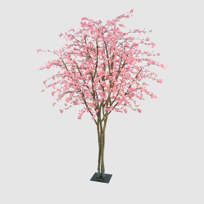 Cherry Blossom Tree 2.74M