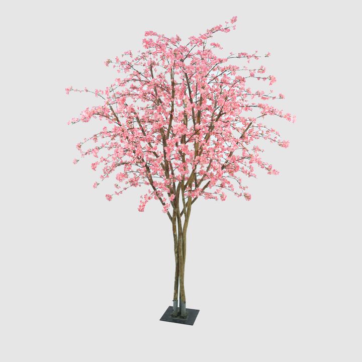 Cherry Blossom Tree 2.74M