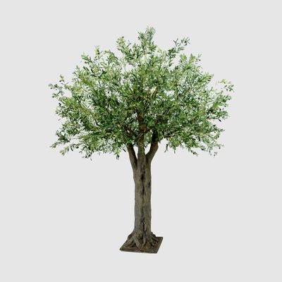 3m Giant Olive Tree w/19278 Lvs 324 Fruits