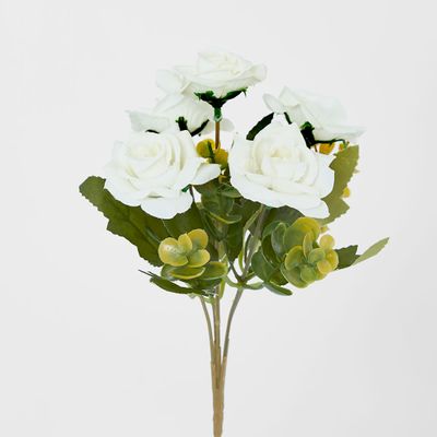 Rose Bush Assorted