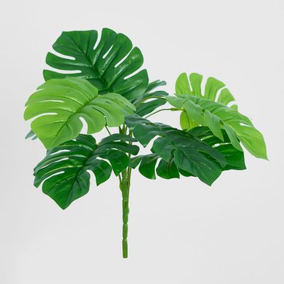 Philo Split Leaf Bush