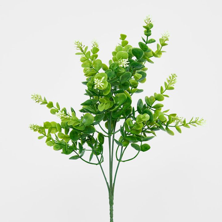 Flowering Eucalyptus Bush