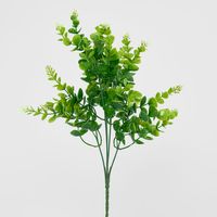 Flowering Eucalyptus Bush