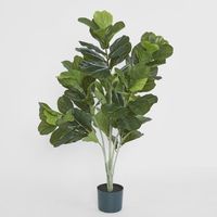 Potted Fiddle Leaf Plant 120cm