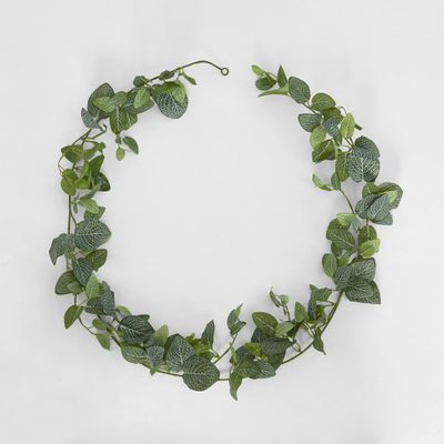 Real Touch Green  Fittonia Garland