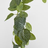 Real Touch Green Fittonia Garland