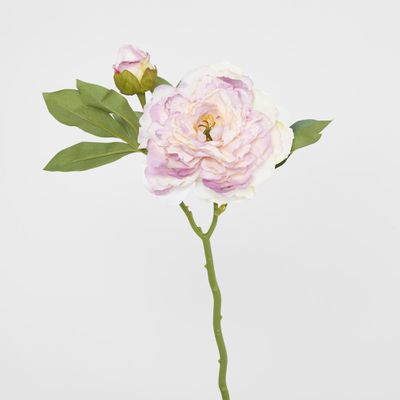 Peony With Bud Stem Light Pink