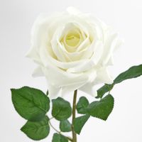 Real Touch Rose Stem White
