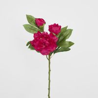 Peony With Two Buds Stem Fuchsia
