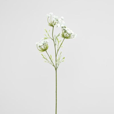 Queen Anne's Lace Spray White
