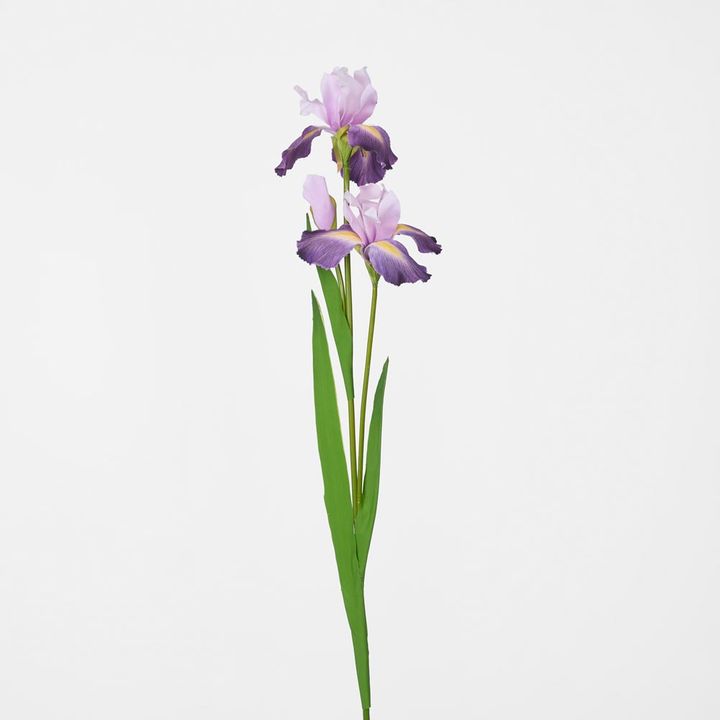 Iris Stem Dark Lilac