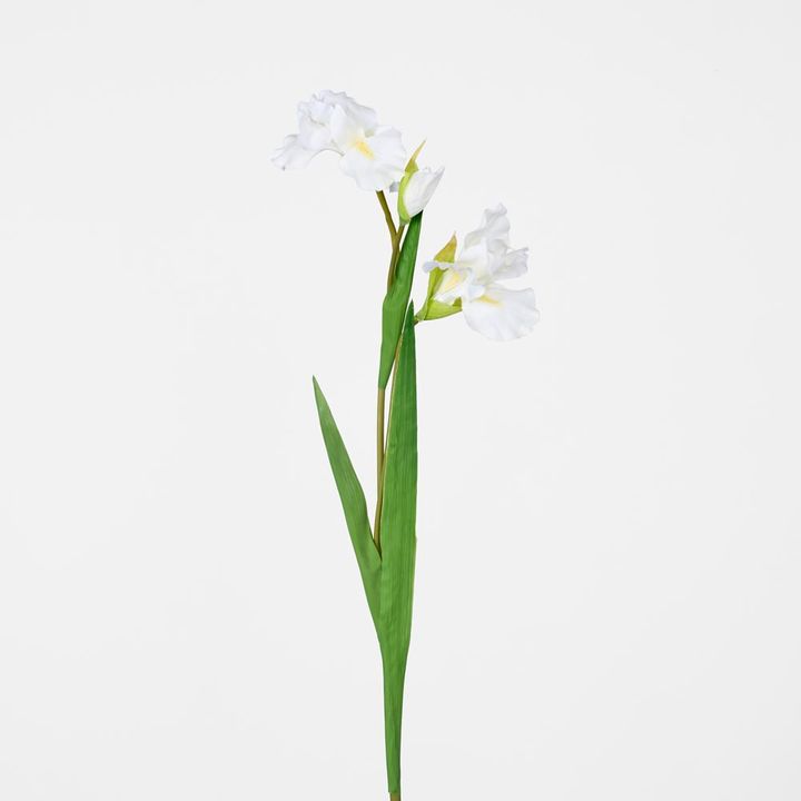 Iris Stem White