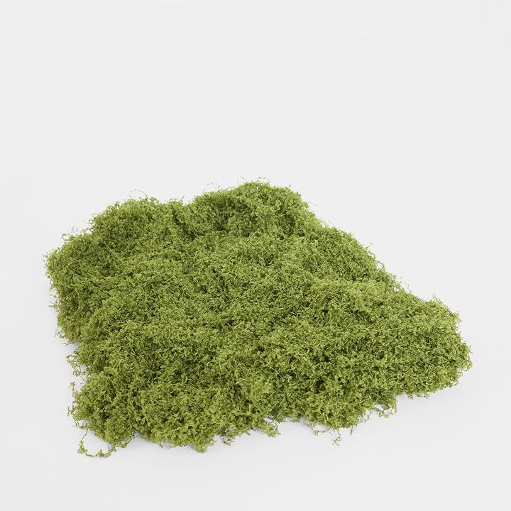 Moss Wool 500g