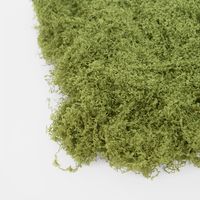 Moss Wool 500g