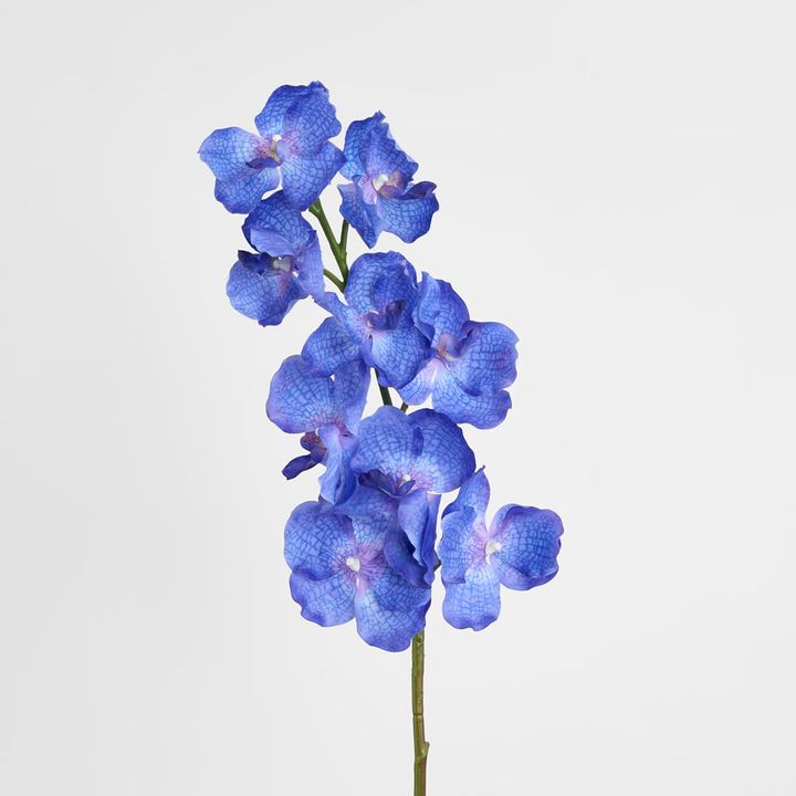 Real Touch Orchid 100cm Blue