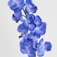 Real Touch Orchid 100cm Blue