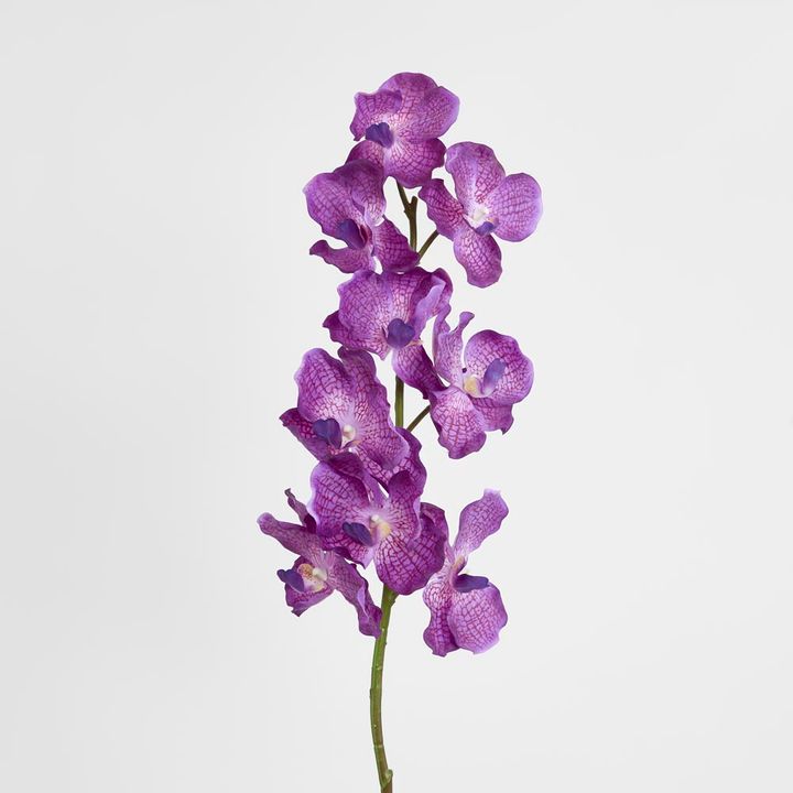 Real Touch Orchid 100cm Dark Purple