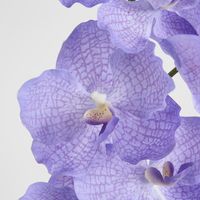 Real Touch Orchid 100cm Lavender