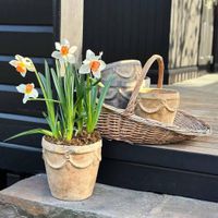 Ritno Pots Set 2 Sand