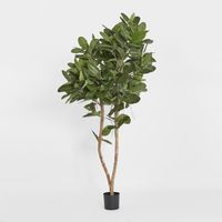 180cm Audrey Ficus Tree