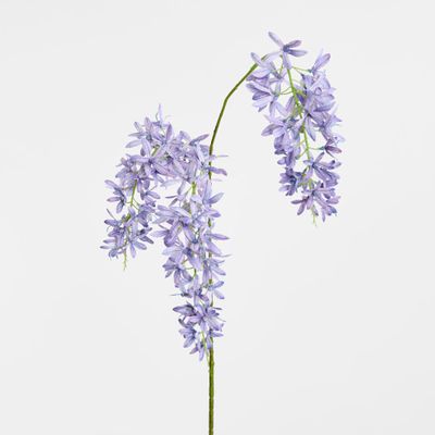 Trailing Wisteria 118cm Lavender