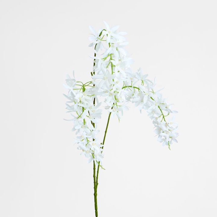 Trailing Wisteria 118cm White