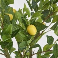 Lemon Tree Real Touch 120cm