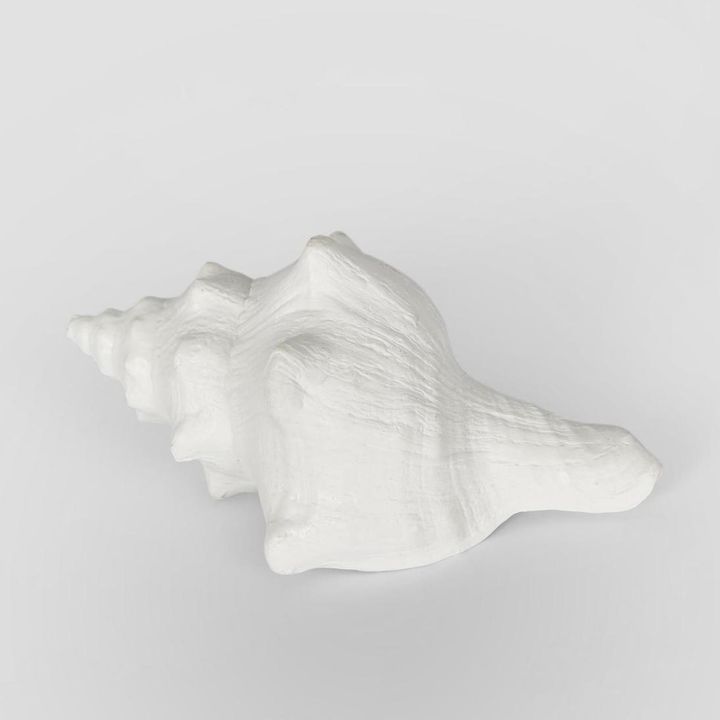 Seb White Sea Snail  12.5X7X5CM