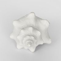 Seb White Sea Snail  12.5X7X5CM