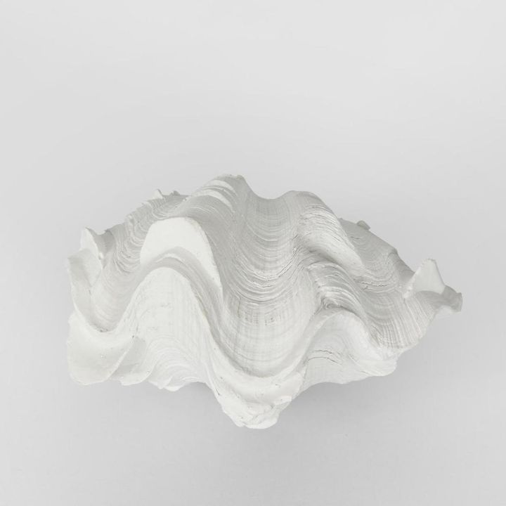 Santi White Sea Snail 14X7X10CM