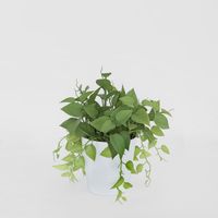 Leaves in White Plastic Pot 35cm