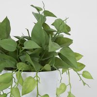 Leaves in White Plastic Pot 35cm