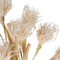 Wheat Flower Stem 75cm White
