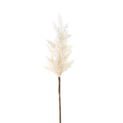 Wheat Astilbe  Flower Stem 75cm White